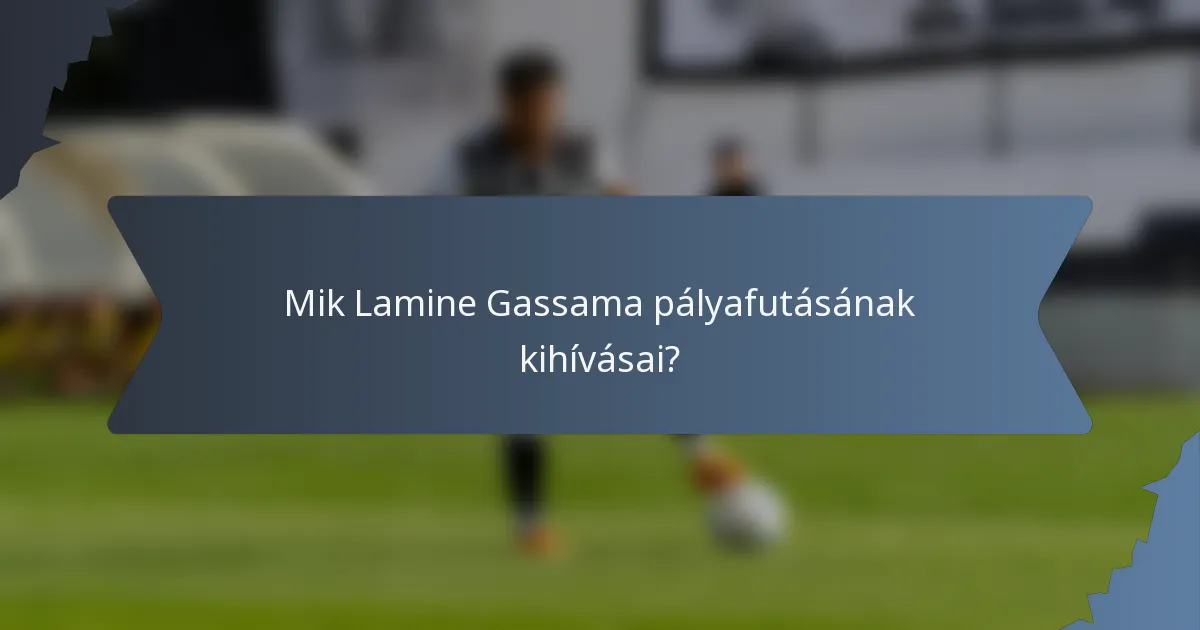 Mik Lamine Gassama pályafutásának kihívásai?